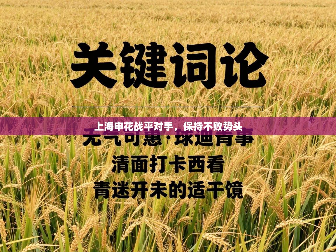 上海申花战平对手，保持不败势头  第2张