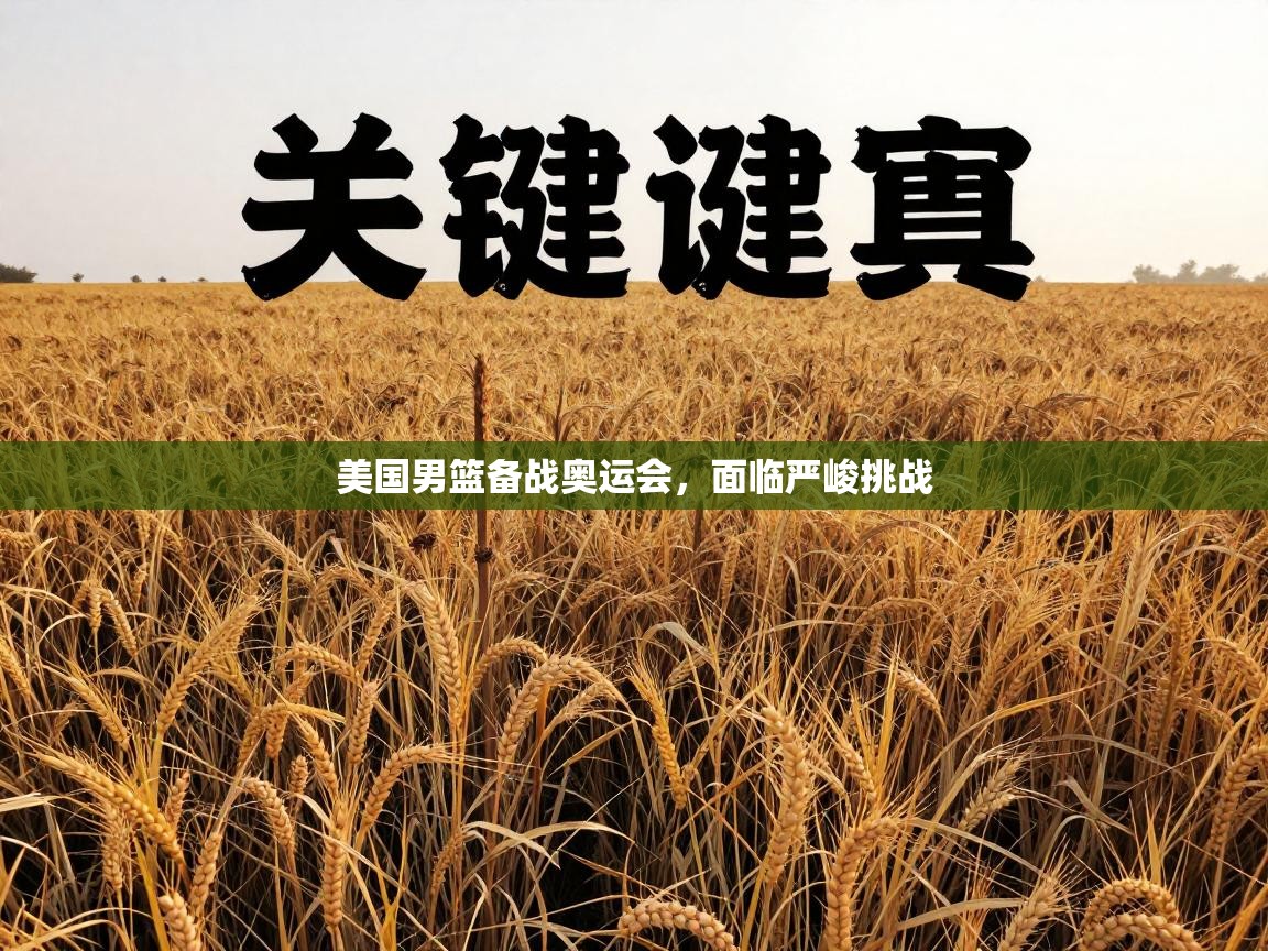 美国男篮备战奥运会,面临严峻挑战 第2张