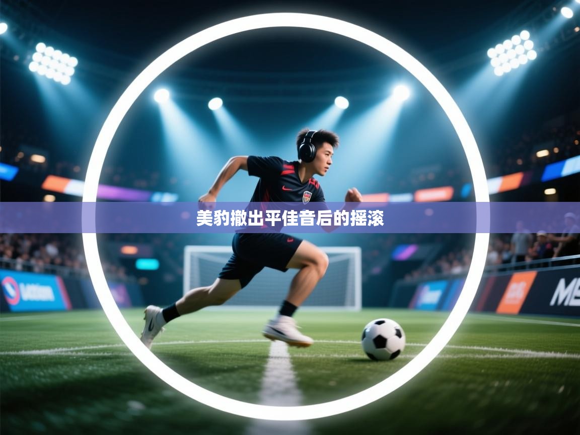 美豹撤出平佳音后的摇滚  第2张