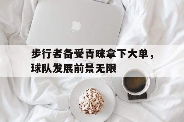 半岛体育在线网站-步行者备受青睐拿下大单，球队发展前景无限的简单介绍